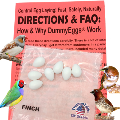 Finch dummy eggs with 4 finch, 7 plastic eggs, printed Instructions