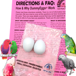 MEDIUM PARROT Plastic DummyEggs® with images of eggs, birds and directions