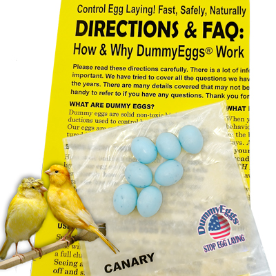 Picture shows 7 Blue-Green Speckled plastic Dummy Eggs for Canary with How To Directions