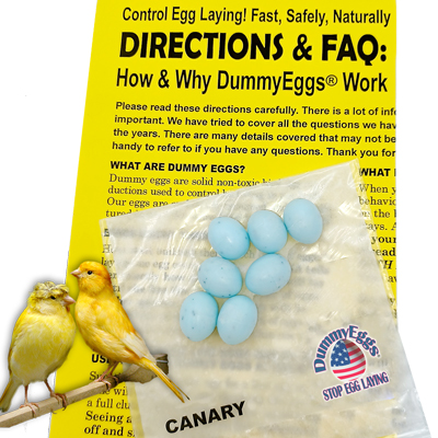 CANARY DUMMY EGGS. CLICK TO ORDER. Picture shows 7 Blue-Green Speckled plastic Dummy Eggs for Canary with How To Directions