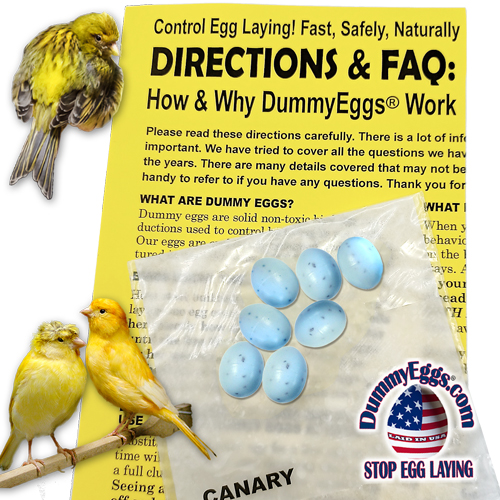 CANARY Plastic DummyEggs® with images of eggs, birds and directions