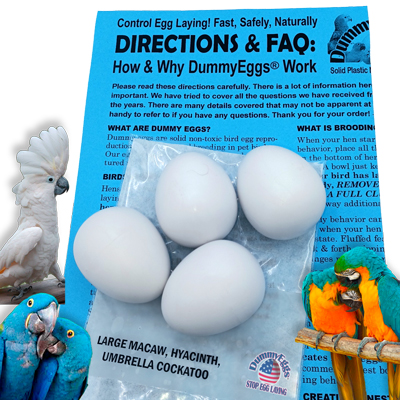 LARGE PARROT DUMMY EGGS: Macaw, Hyacinth & Umbrella Cockatoo. Birds, Eggs & Instructions Shown.