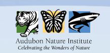 Audobon Nature Institute Logo, there are 3 square illustrations above title, tiger, butterfly and shark