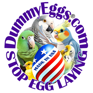 Logo of dummyeggs.com featuring various colorful parrots surrounding a made in usa logo with an image of eggs and the text stops egg laying