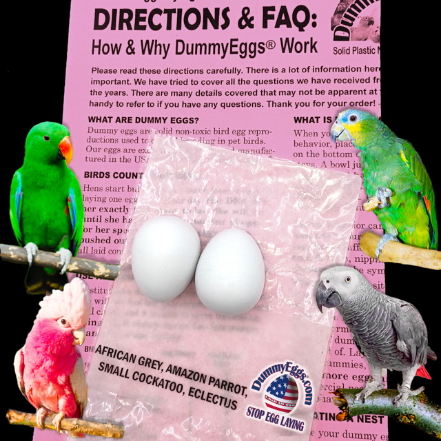 MEDIUM PARROT Plastic DummyEggs® with images of eggs, birds and directions