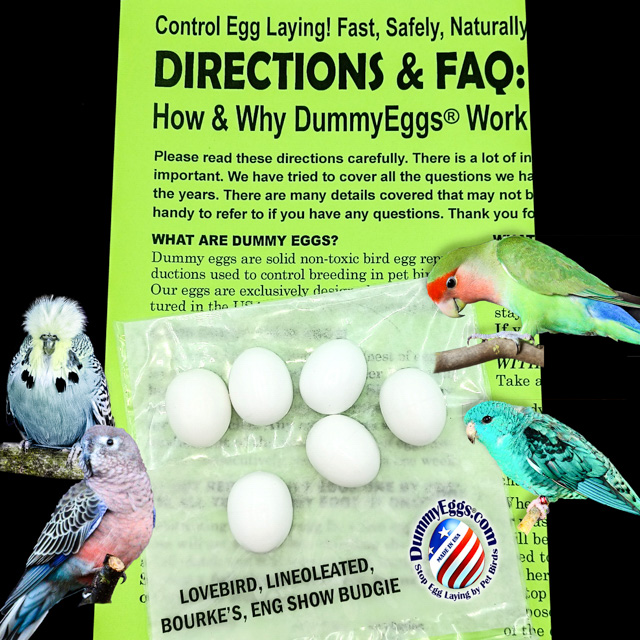 LOVEBIRD Plastic DummyEggs® with images of eggs, birds and directions